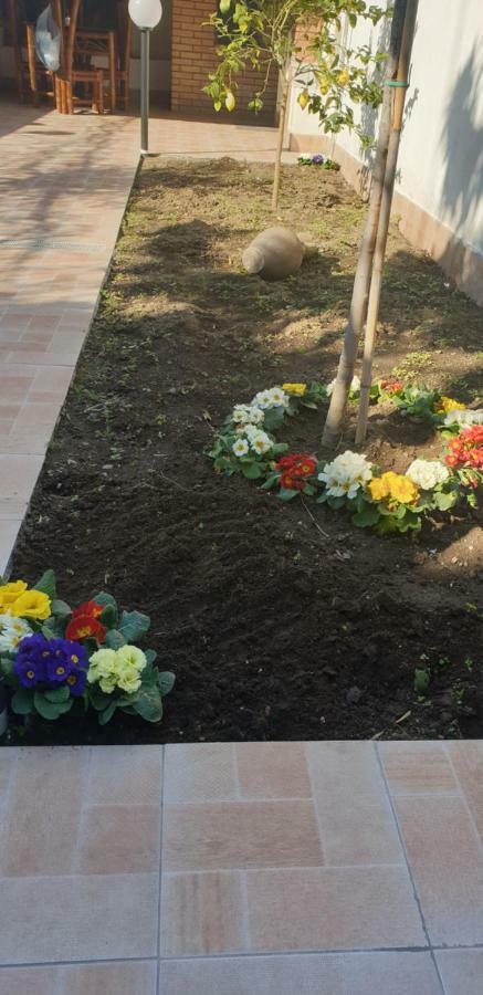 Casa Gialli Catania Ngoại thất bức ảnh